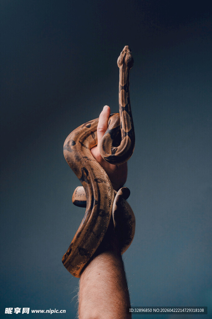 手指上的微观吉他演奏者