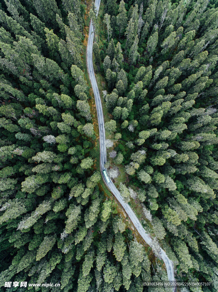 林间蜿蜒公路俯瞰美景
