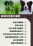 犬舍特价交流大酬宾