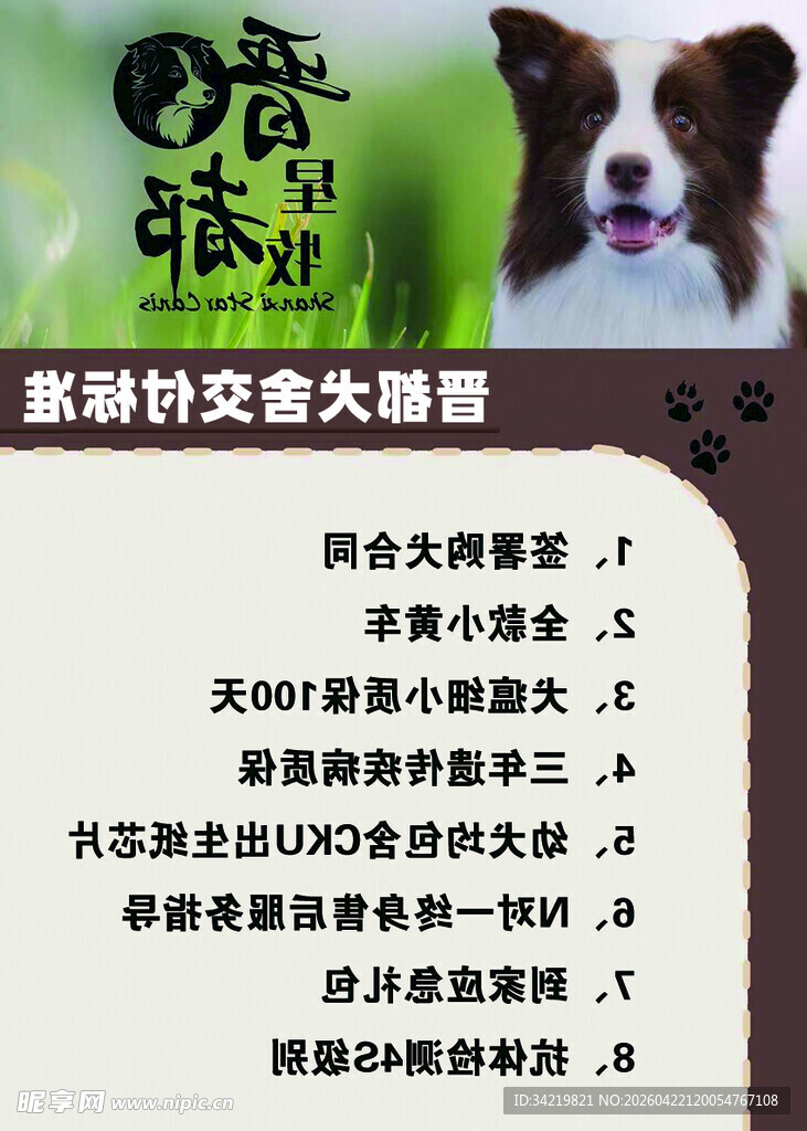 犬舍特价交流大酬宾