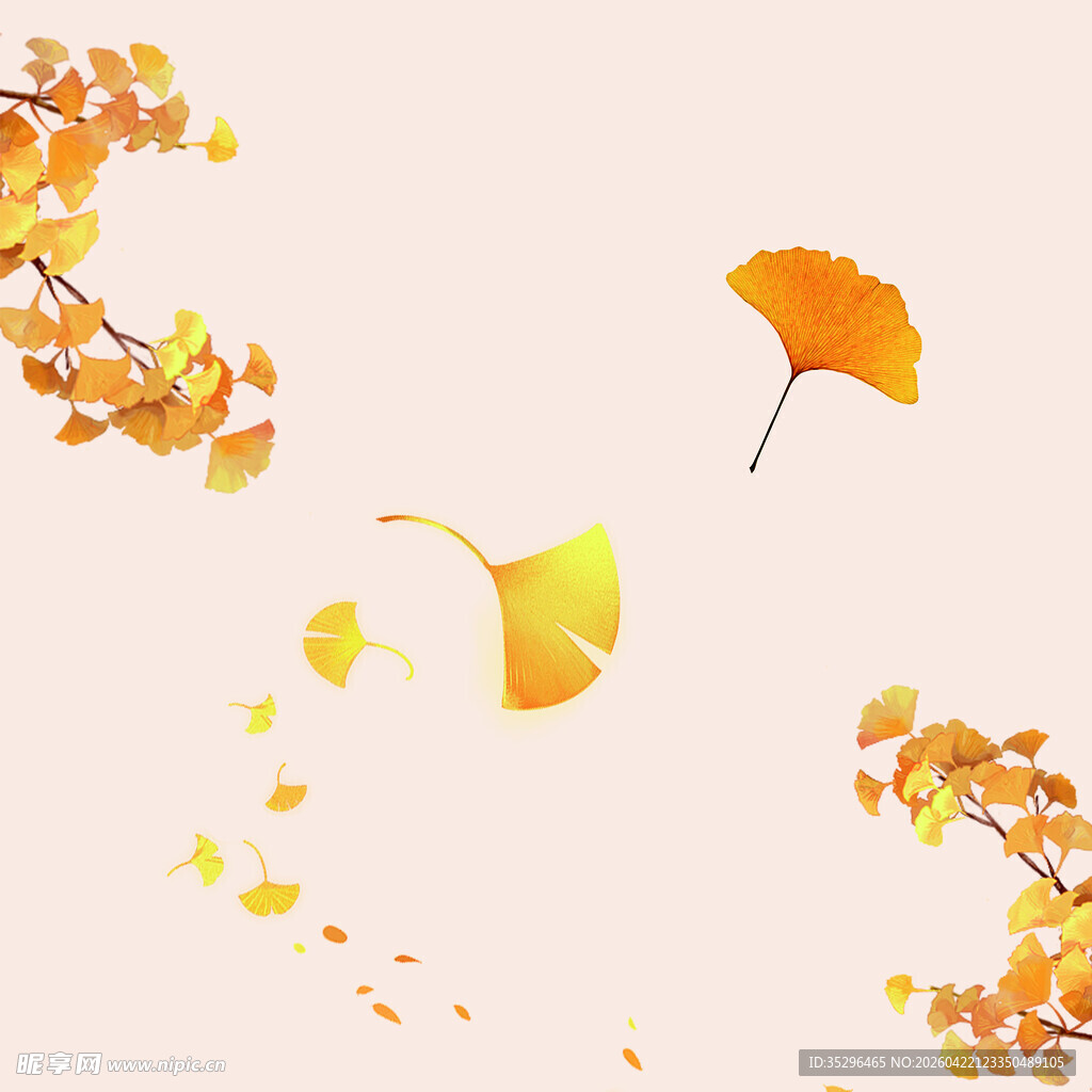 飘落的银杏叶秋之诗意