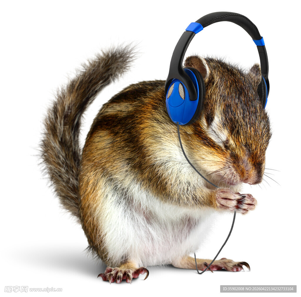戴耳机的可爱小松鼠