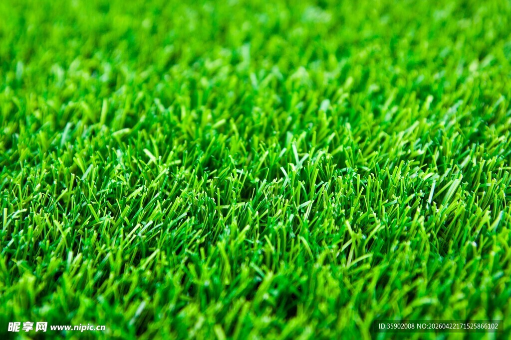 翠绿人造草坪特写