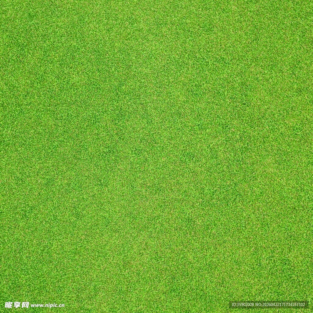 翠绿草地纹理背景图