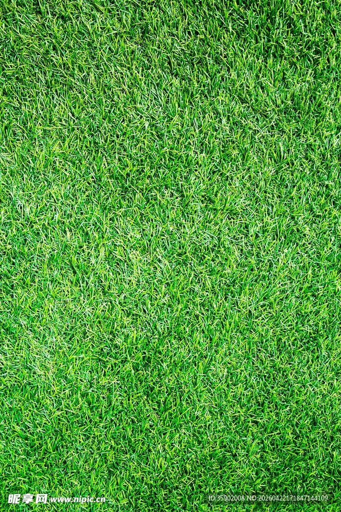 翠绿草坪纹理背景图