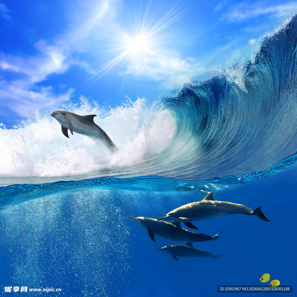 海豚于海浪间畅游的美景