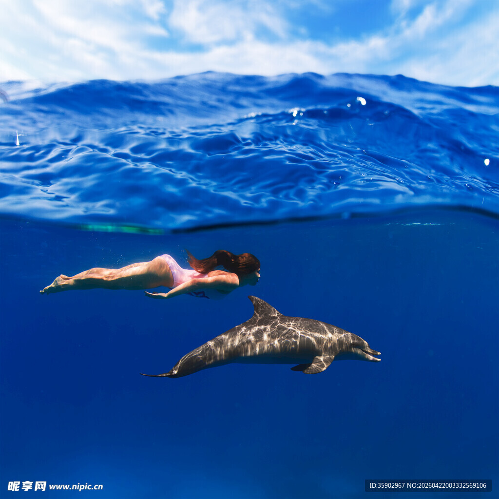 女子与海豚共游海底世界