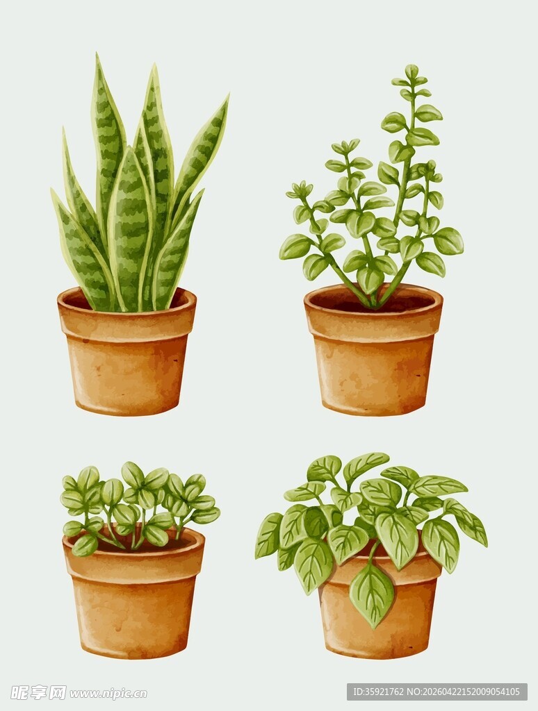 盆栽绿植插画