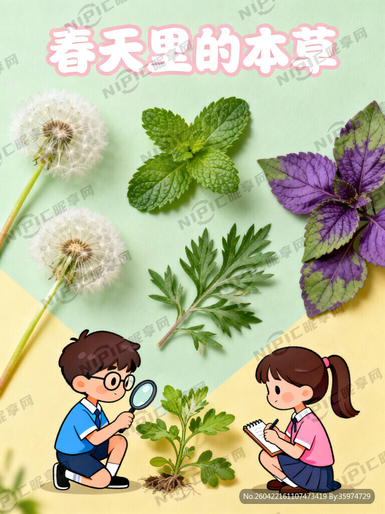 以春天里的本草为主题设计封面