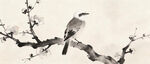 枝头栖鸟图