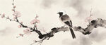 枝头鹊影 春日花鸟景致