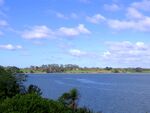海滨蓝天绿树美景
