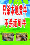 只杀本地黄牛不杀缅甸牛
