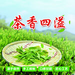 茶香四溢的鲜嫩茶叶
