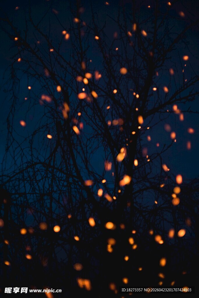 夜幕下闪烁的绚烂灯光