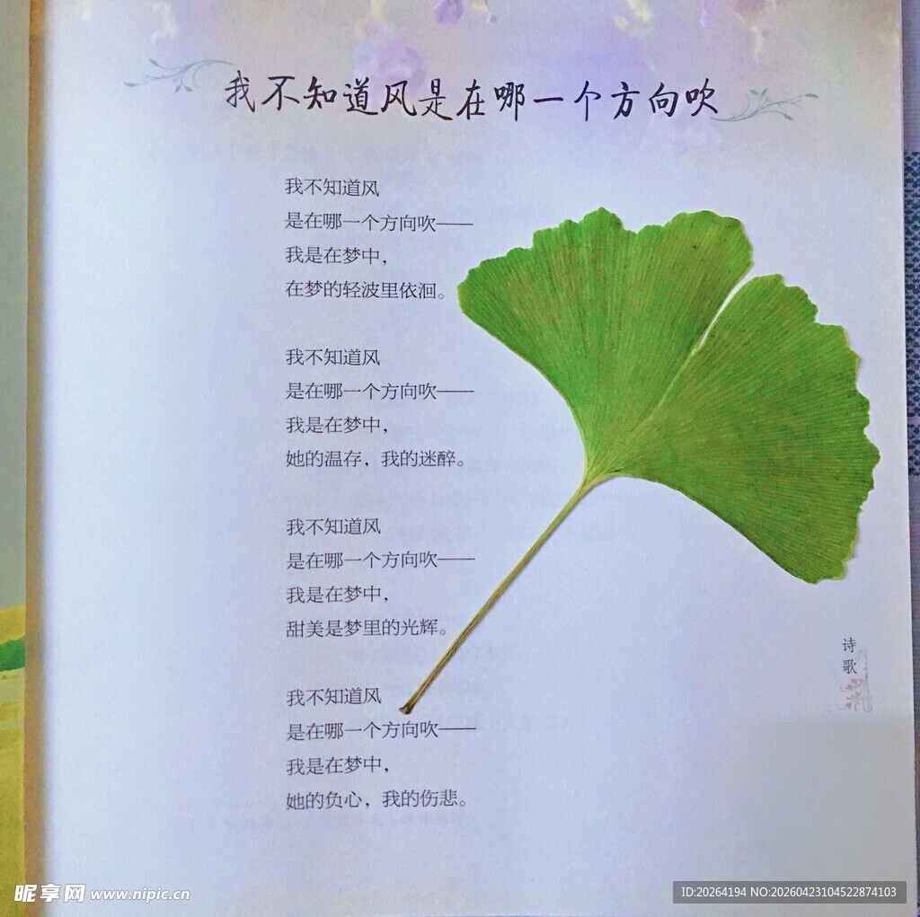 书页上的银杏叶标本