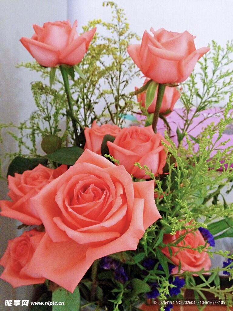 粉色玫瑰插花特写