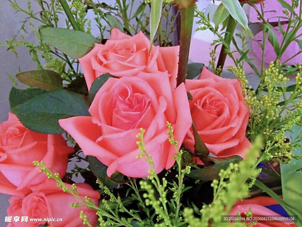 粉色娇艳玫瑰插花