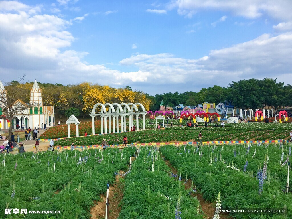 田园风光中的多彩建筑