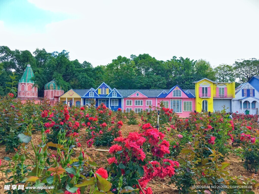 花海中的多彩房屋