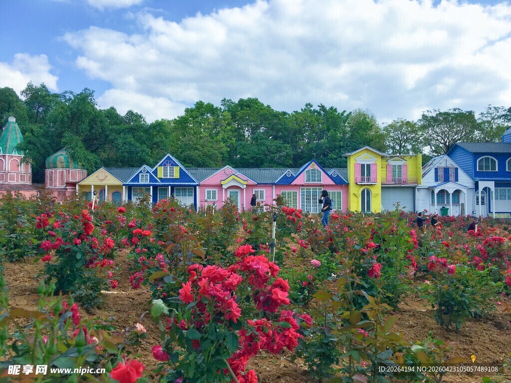 多彩花田旁的彩色小屋 花海