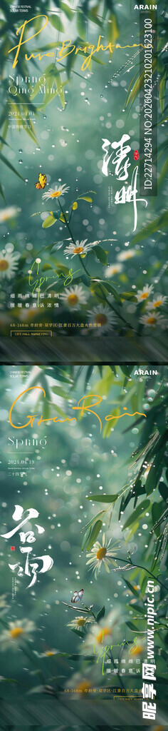 清明谷雨菊花竹子风景海报