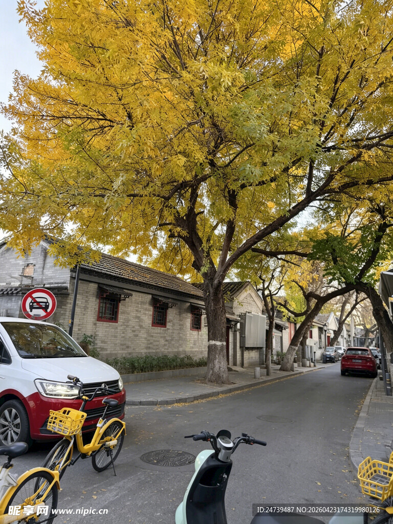 老北京胡同