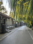 老北京胡同