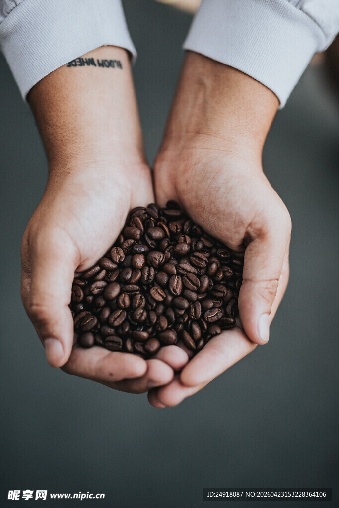 手中捧着的咖啡豆