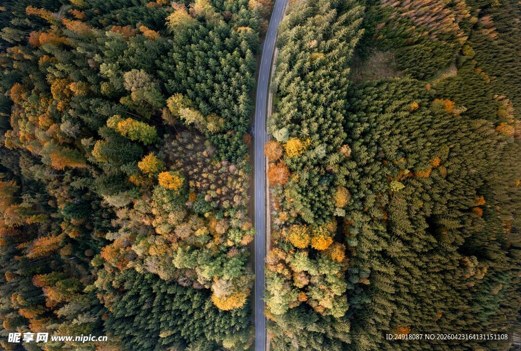 秋日林间公路俯瞰美景