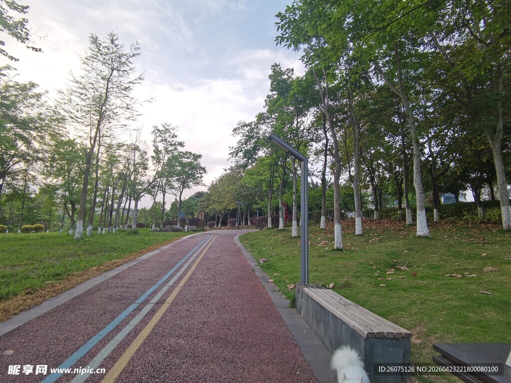 林间彩色步道风景优美