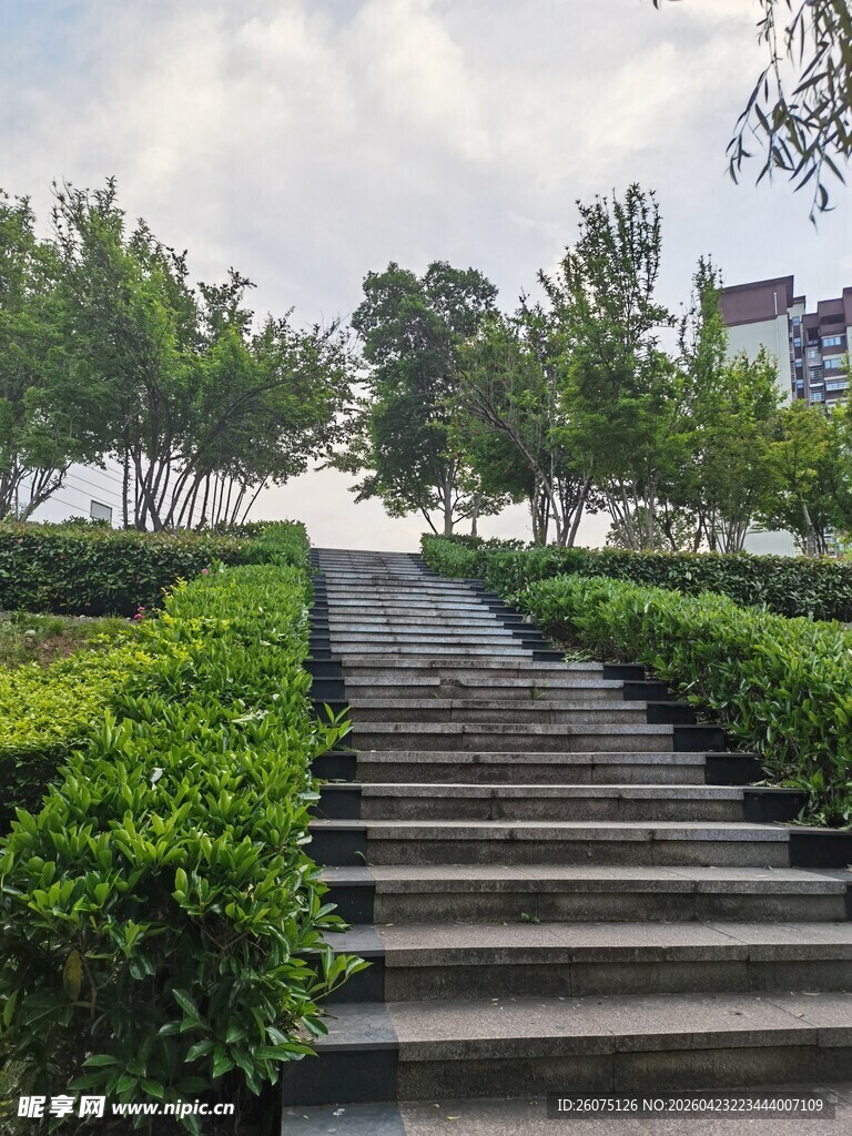 绿意环绕的石阶小道
