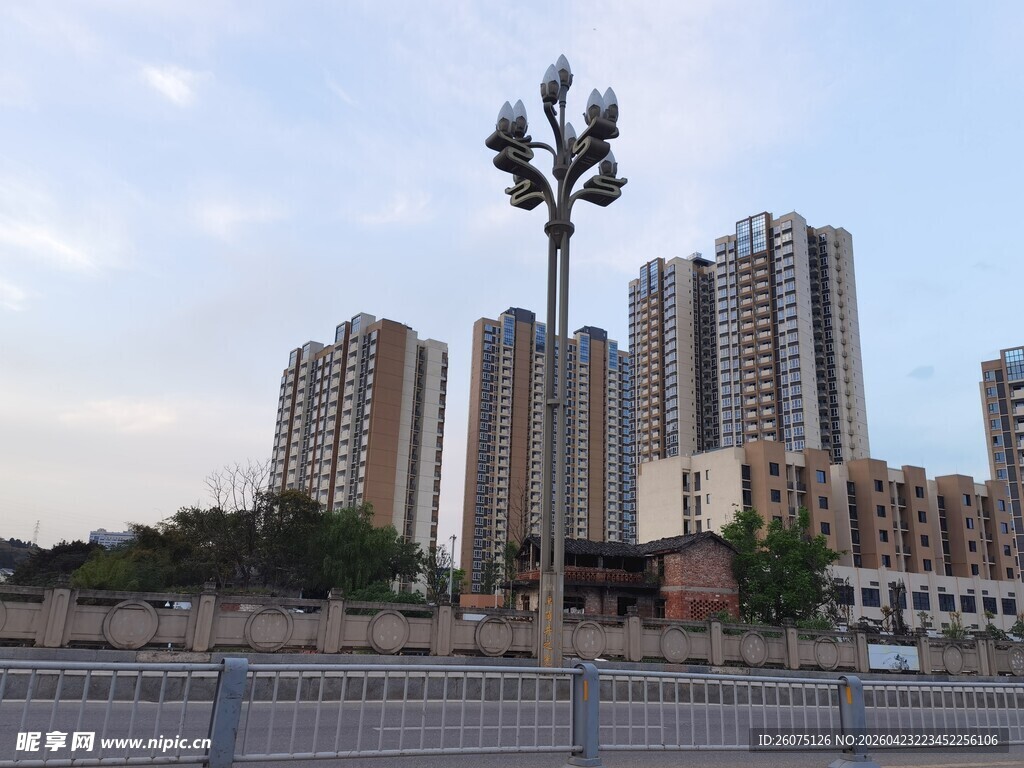 城市高楼与路灯景观