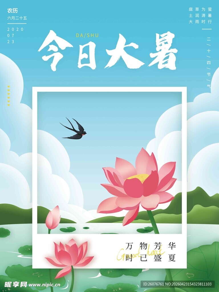 大暑海报 