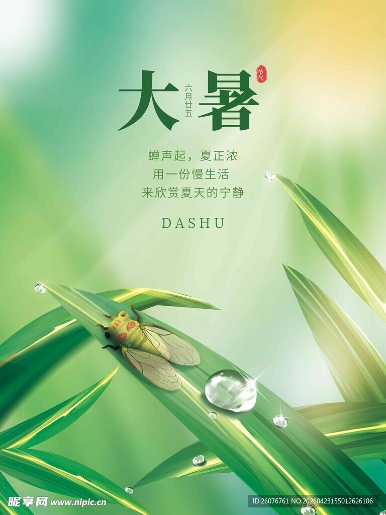 大暑海报 