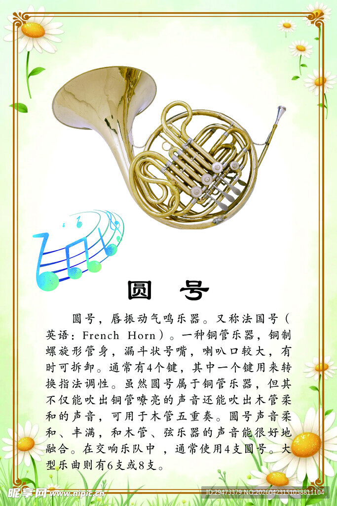古典乐器圆号介绍