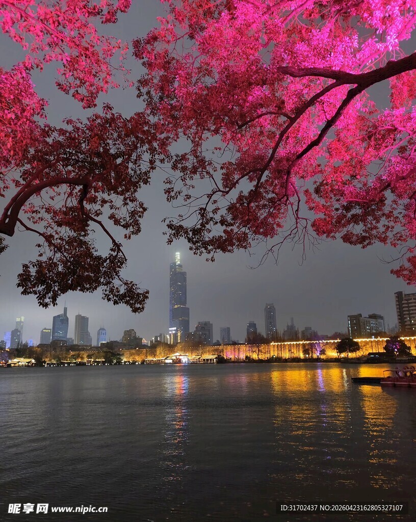 湖畔夜樱下的城市美景
