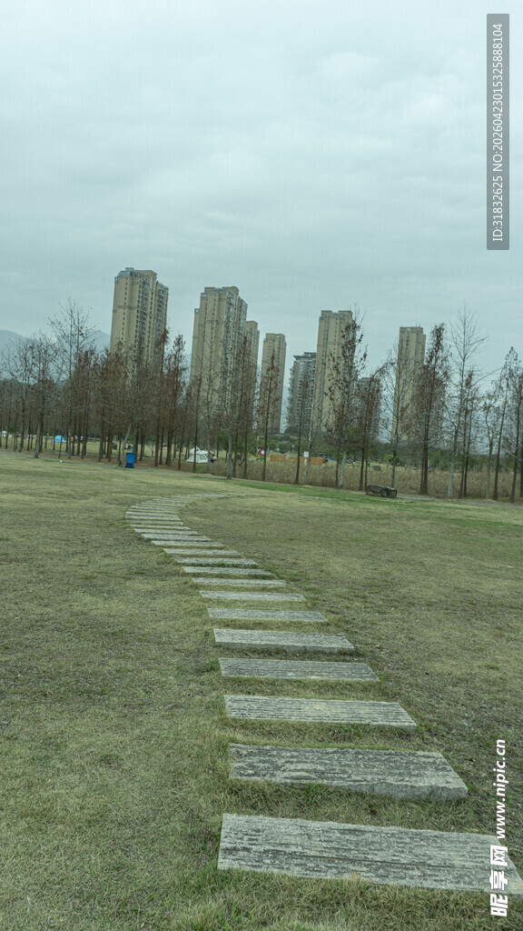 草地中延伸的石板路