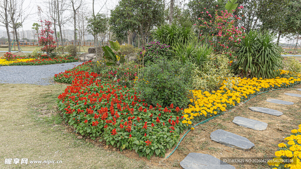 花园小径边的多彩花卉景观