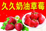 久奶油草莓新鲜诱人