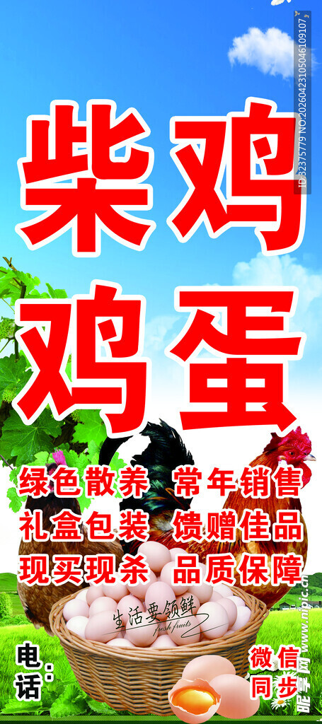 柴鸡蛋宣传海报