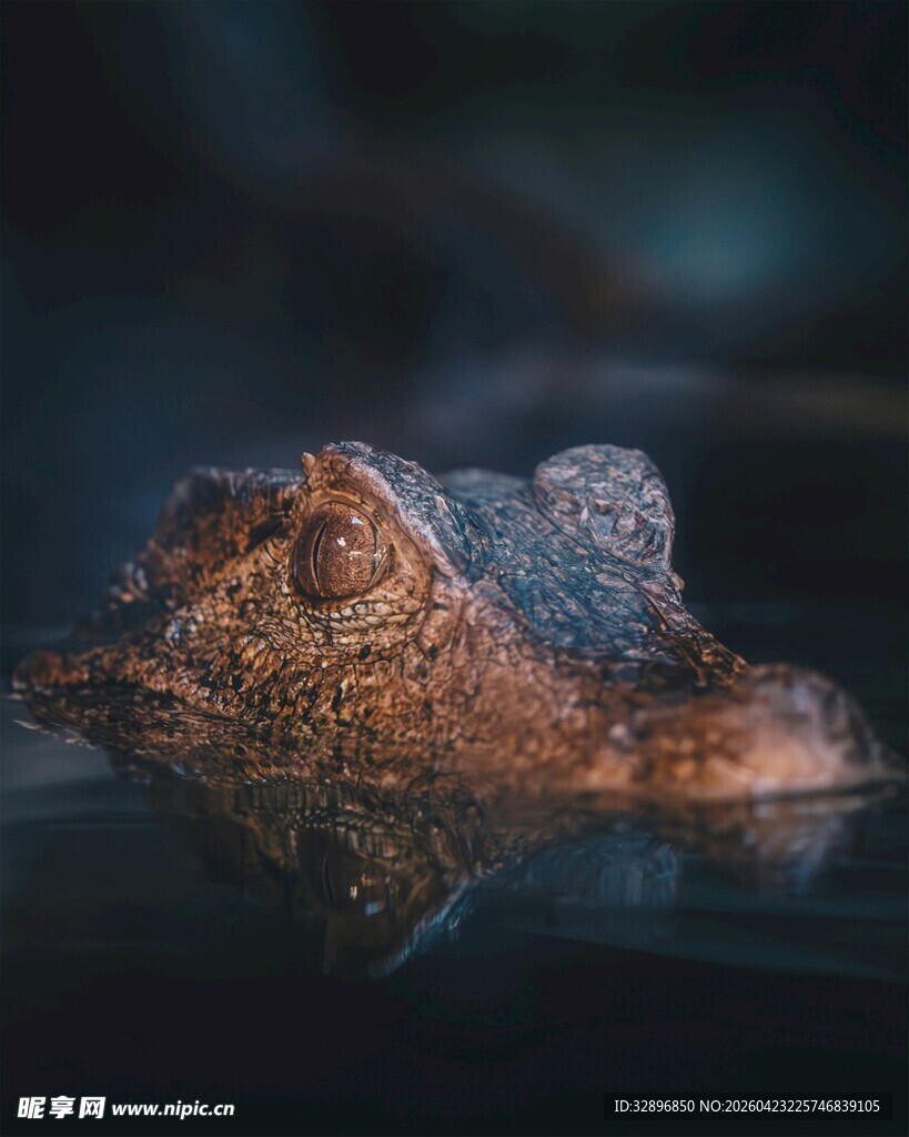 梦幻光影下的奇特物体