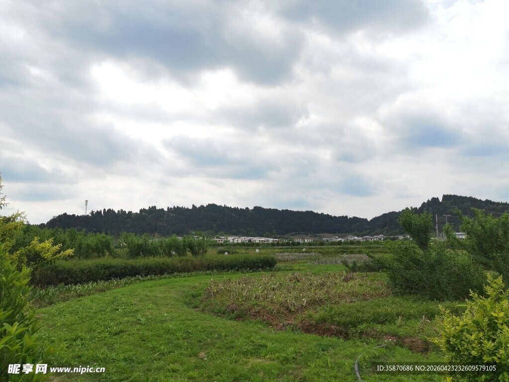 田园绿野风光