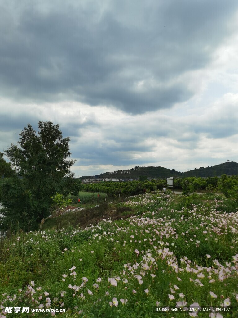 草原花海云下自然之景