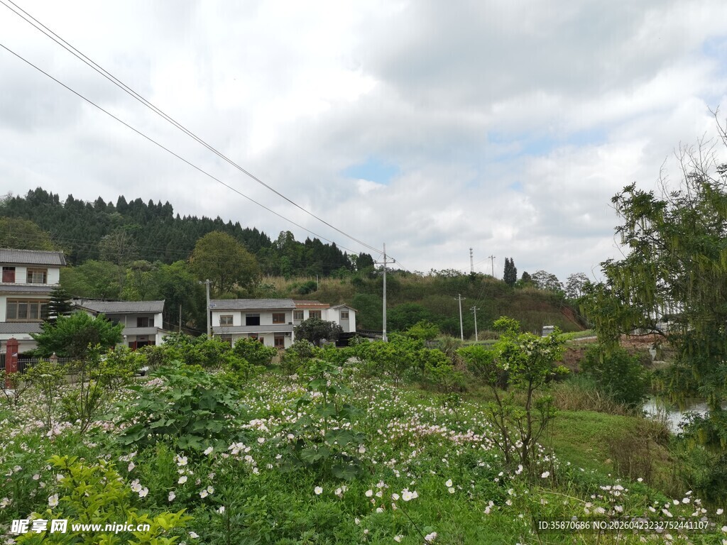 乡村田园风光宁静村落
