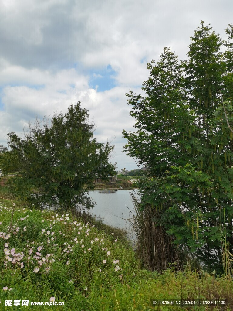 湖畔绿植与蓝天白云美景