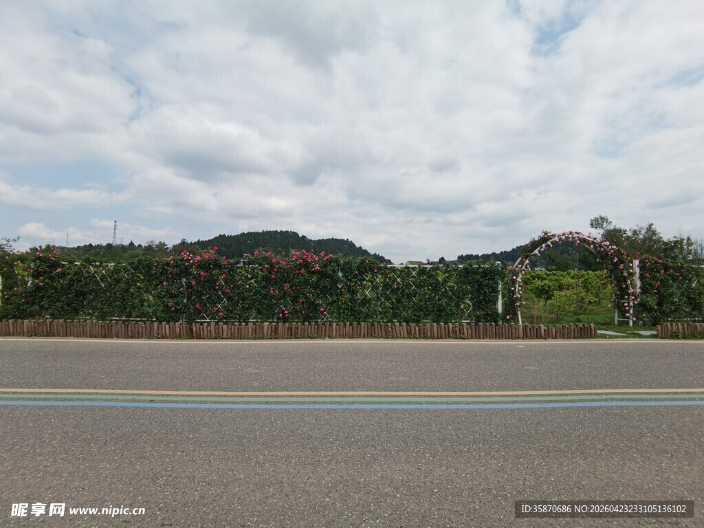 公路旁的绿意与远山