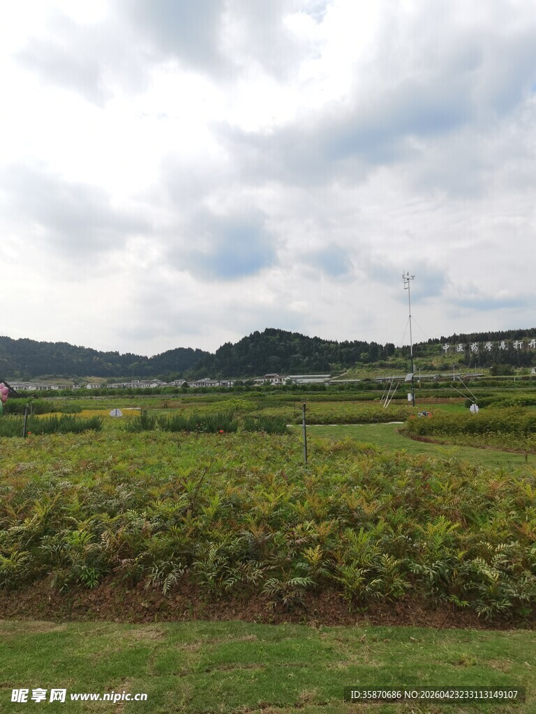 田园风光广袤田野景色