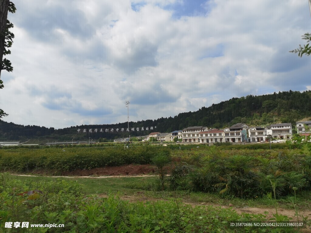 乡村田野边的建筑群