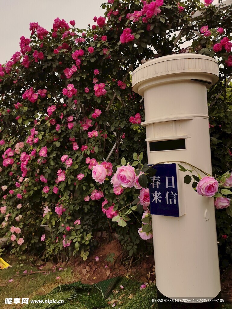 花丛中的复古邮筒